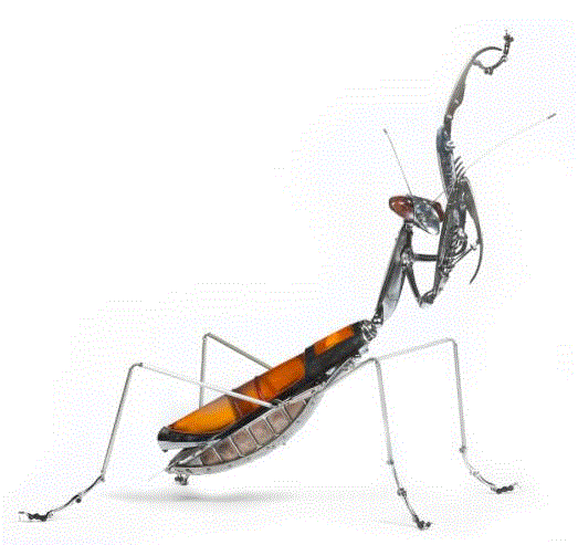 工艺丨从废旧的金属零件 到优雅的机械生命,零件,工艺,金属,机械,昆虫,上方,右上,法国,Martinet,学生们