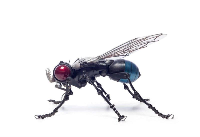 工艺丨从废旧的金属零件 到优雅的机械生命,零件,工艺,金属,机械,昆虫,上方,右上,法国,Martinet,学生们