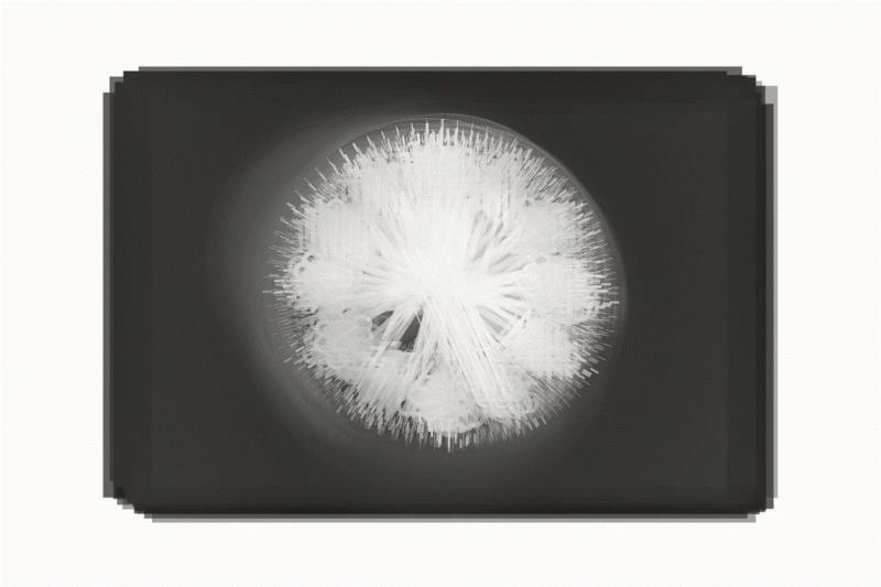 刘书彤，《办公室钟表的9:00—5:00的一天》,入围艺术家揭晓｜2019年（第十一届）三影堂摄影奖,三影堂摄影奖,陈江屿,胡雅静,蒋斐然,雷安乔,李剑鸿,李林,李龙俊,刘珂,刘书彤