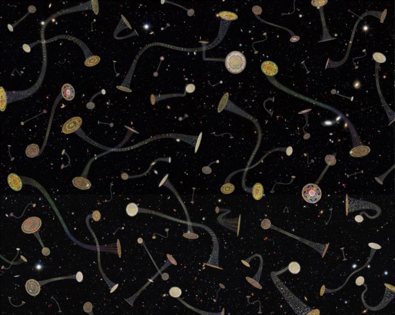 卢杉，《坛城虫虫洞》,入围艺术家揭晓｜2019年（第十一届）三影堂摄影奖,三影堂摄影奖,陈江屿,胡雅静,蒋斐然,雷安乔,李剑鸿,李林,李龙俊,刘珂,刘书彤