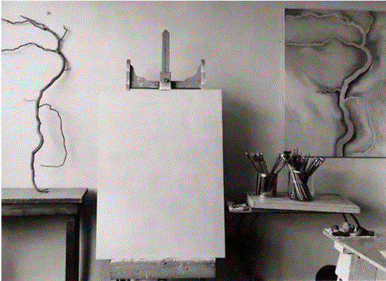 她不爱读书，或者很少读书。“我不相信文字，文字和我一点儿都不友好，画家使用文字就好像婴儿在学走路，最