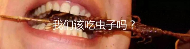 “肉食悖论”揭示了什么？,肉食,悖论,道德,实验,图源,报酬,被试者,广告,利维坦,肉类