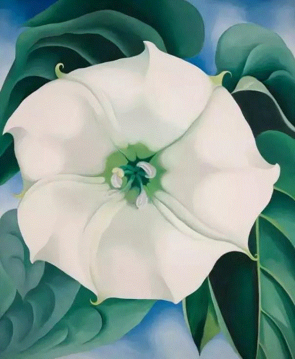 拒与毕加索见面，她独居大漠40年，画了一朵2.86亿的曼陀罗,毕加索,大漠,曼陀罗,女性,乔治娅,吉弗,沙漠,骸骨,丈夫,阿尔弗雷德