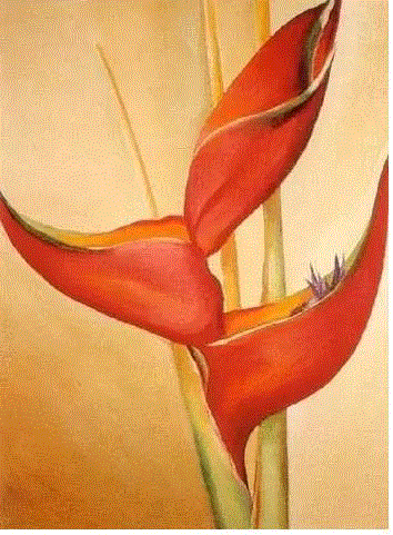 拒与毕加索见面，她独居大漠40年，画了一朵2.86亿的曼陀罗,毕加索,大漠,曼陀罗,女性,乔治娅,吉弗,沙漠,骸骨,丈夫,阿尔弗雷德