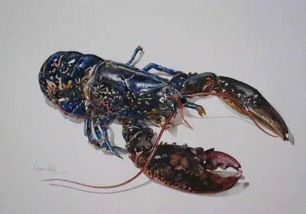 栩栩如生的水彩质感,质感,水彩,水彩画,上方,小编