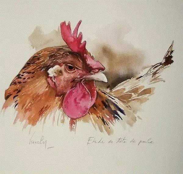 &nbsp;,栩栩如生的水彩质感,质感,水彩,水彩画,上方,小编