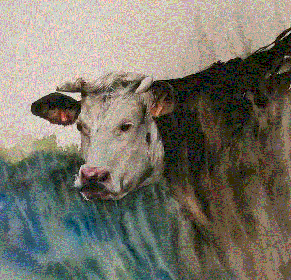 &nbsp;,栩栩如生的水彩质感,质感,水彩,水彩画,上方,小编