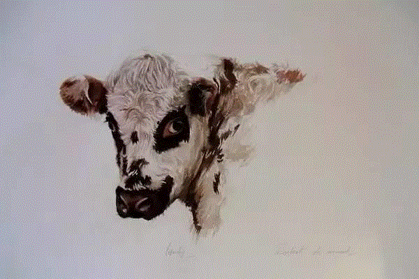 &nbsp;,栩栩如生的水彩质感,质感,水彩,水彩画,上方,小编