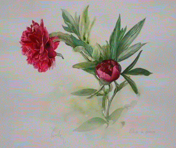 &nbsp;,栩栩如生的水彩质感,质感,水彩,水彩画,上方,小编