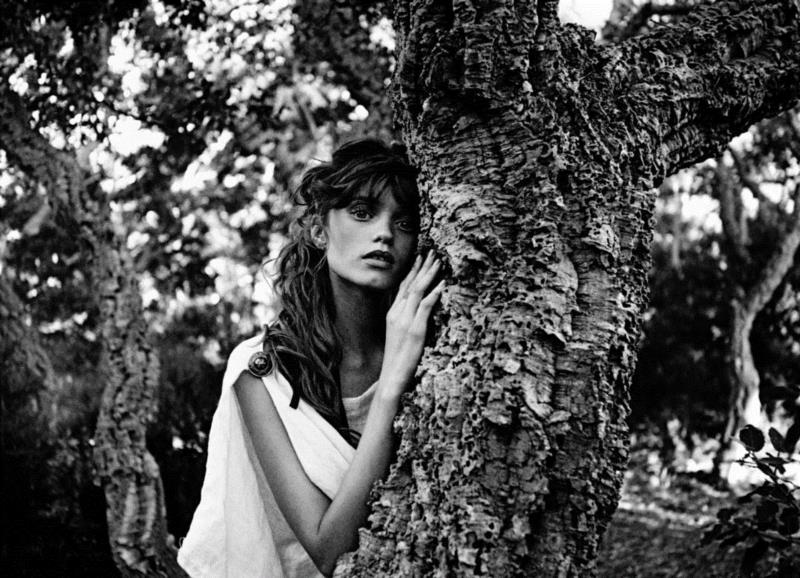 老佛爷的斜杠人生：同性恋/毒舌/设计巨擘/减肥作家/明星推手...,老佛爷,斜杠,同性恋,毒舌,巨擘,作家,推手,Chanel,时尚,Lagerfeld