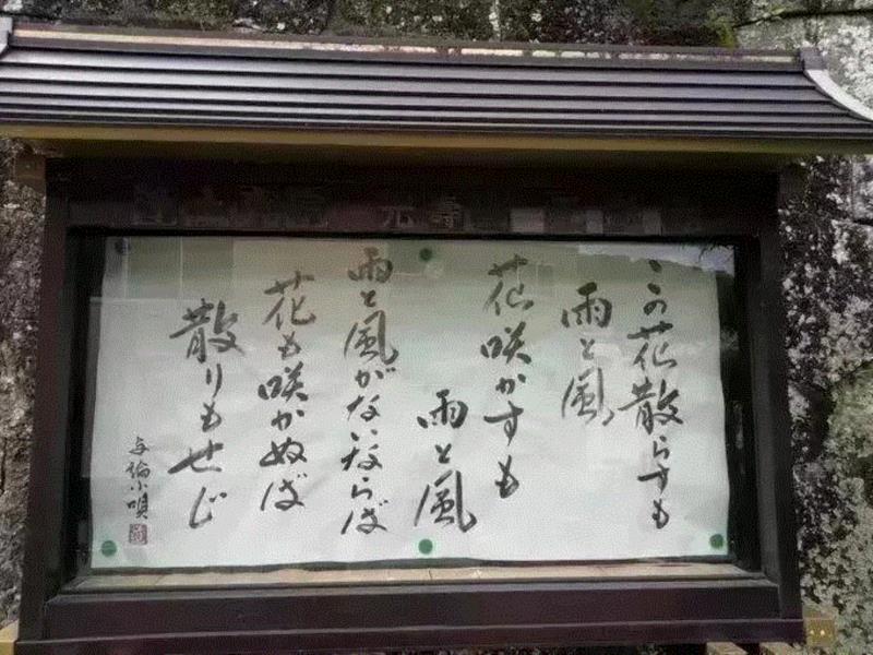 视野 ▎喝酒吃肉的日本和尚，一句话引发10万人点赞，看完顿觉神清气爽···,日本,和尚,一句话,寺庙,布告,风雨,佛教,人心,语句,常识