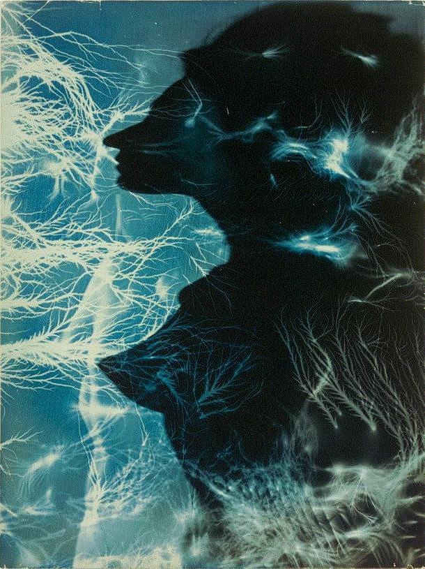 艺术 ▎达达主义风格摄影,达达主义,Blumenfeld,时装,柏林,爱好者,拼贴画,巴黎,职业,摄影师,现实主义