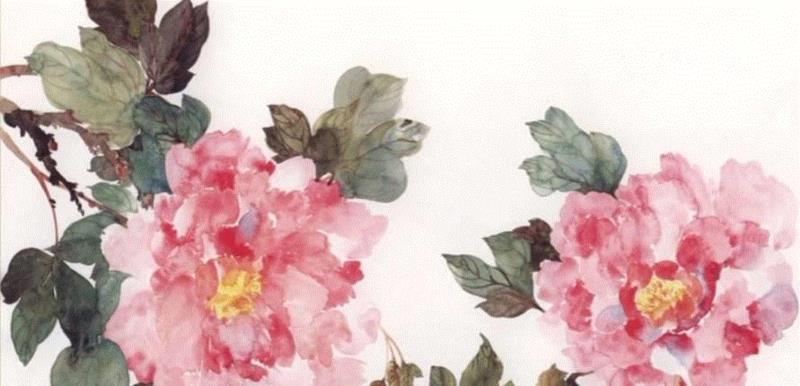 张抗抗：富贵随处可见，高贵屈指可数,张抗抗,富贵,牡丹,洛阳,花瓣,品位,武则天,日子,牡丹城,花期