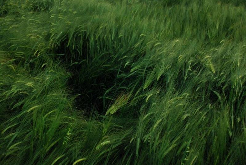 【新世纪丨展览预告】庄辉丨公元前1650年