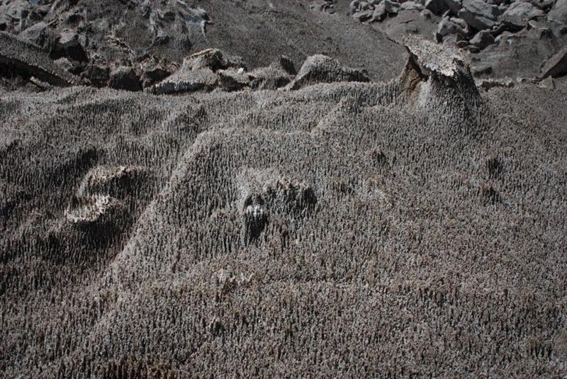 【新世纪丨展览预告】庄辉丨公元前1650年