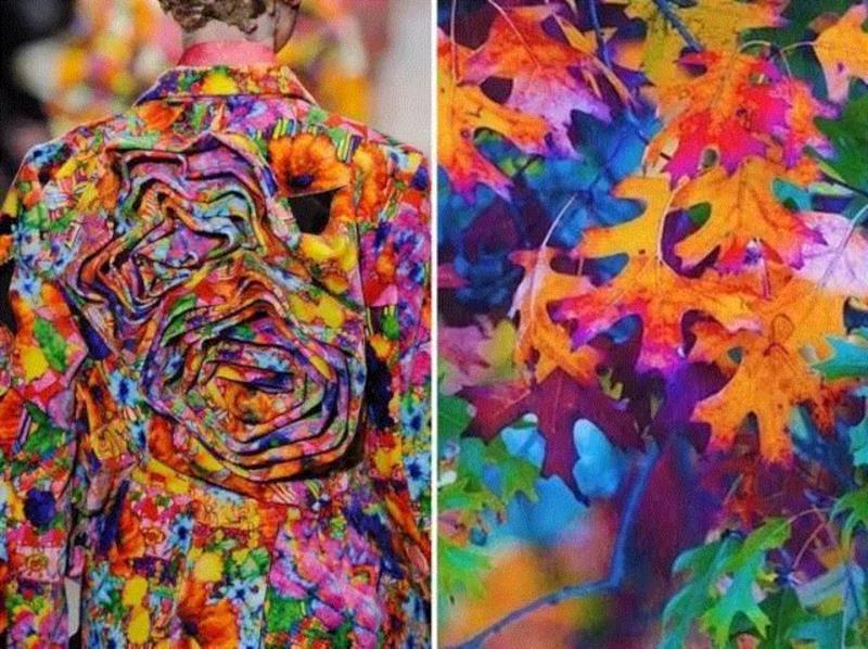 来自大自然的服装设计，每一处都是你的灵感涌现！,大自然,俄罗斯,Liliya,意大利米兰理工学院,Luini,服装设计师们,时尚,相似度,天边,彩云