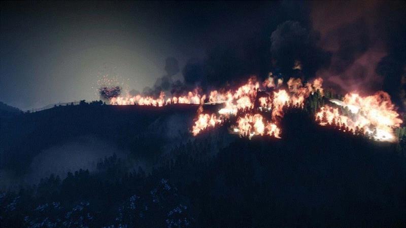 权河允&nbsp;| 489年&nbsp;-&nbsp;Still Image&nbsp;| 201