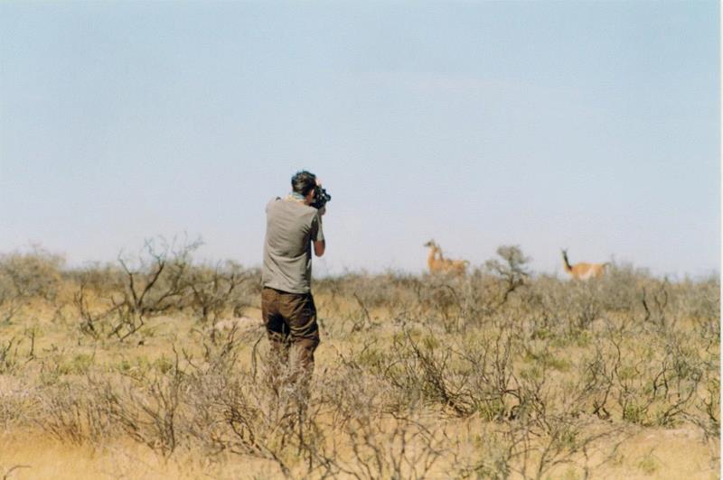 Francis Al?s, A Story of Deception, Patagonia