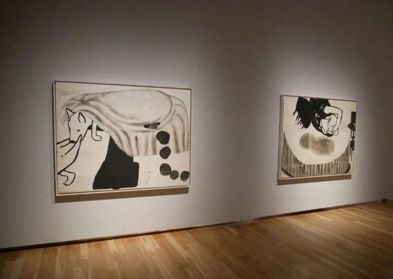 山艺术资讯 | gone girl 村上早 展于上田市立美术馆开幕,村上,girl,上田市立美术馆,资讯,日本上田市立美术馆,以下,gone,Saki,地点,林正