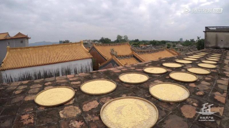 最会拍美食的陈晓卿又出手了，看完想飞奔到潮汕！,美食,潮汕,陈晓卿,风味,纪录片,原产地,普宁豆酱,豆酱,薄壳,色泽