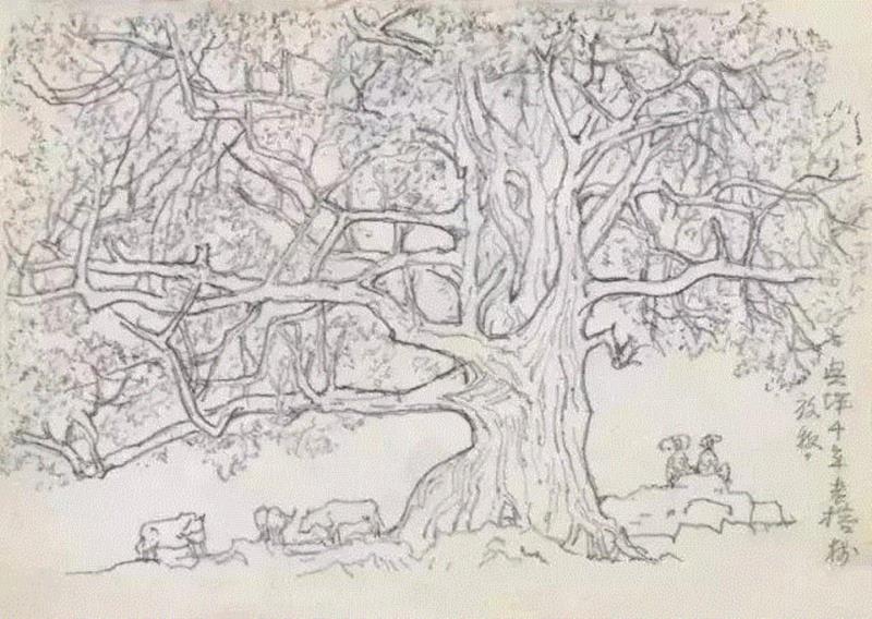 中国国画大师创作手稿,太震撼了!,手稿,国画,黄胄,李可染,齐白石,徐悲鸿,吴冠中,张大千,中央美术学院,山水画