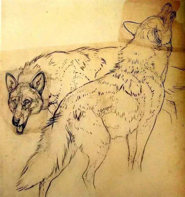 中国国画大师创作手稿,太震撼了!,手稿,国画,黄胄,李可染,齐白石,徐悲鸿,吴冠中,张大千,中央美术学院,山水画