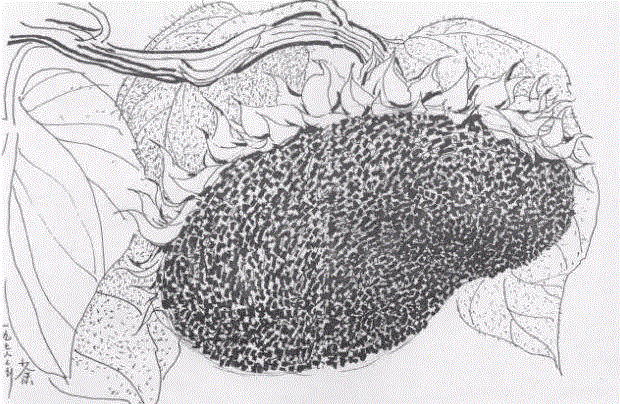 中国国画大师创作手稿,太震撼了!,手稿,国画,黄胄,李可染,齐白石,徐悲鸿,吴冠中,张大千,中央美术学院,山水画