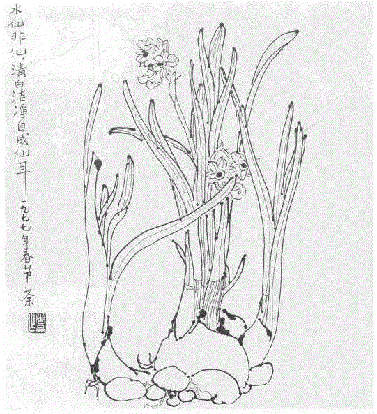 中国国画大师创作手稿,太震撼了!,手稿,国画,黄胄,李可染,齐白石,徐悲鸿,吴冠中,张大千,中央美术学院,山水画