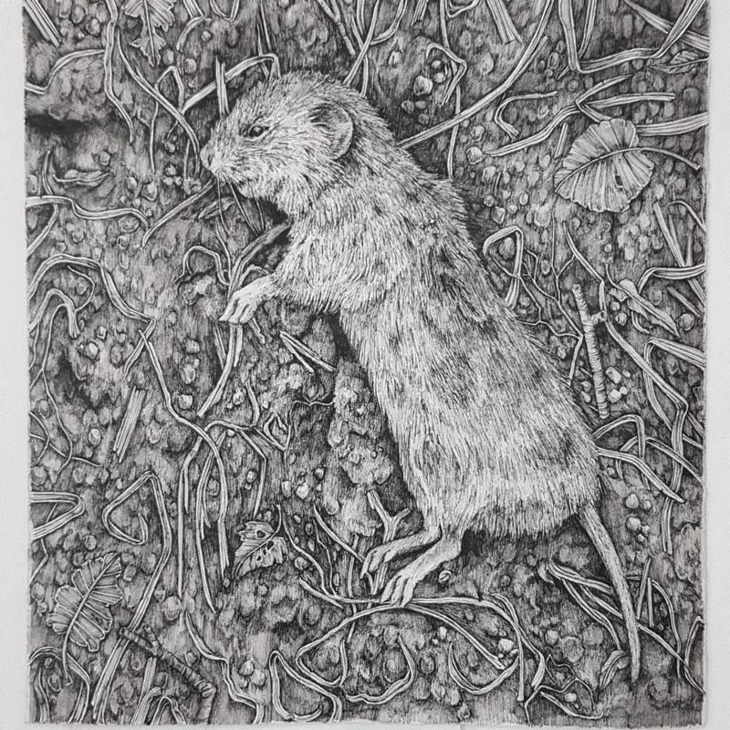 一幅“骗”倒英国皇室的画,放大100倍后,15万人惊了…,英国,皇室,Kemp,眼中,工具,查尔斯,城堡,艺术界,私房,大自然