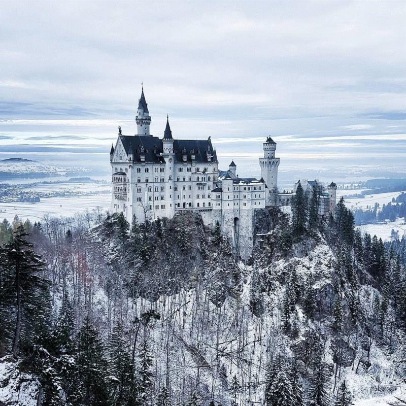 ,一幅“骗”倒英国皇室的画,放大100倍后,15万人惊了…,英国,皇室,Kemp,眼中,工具,查尔斯,城堡,艺术界,私房,大自然