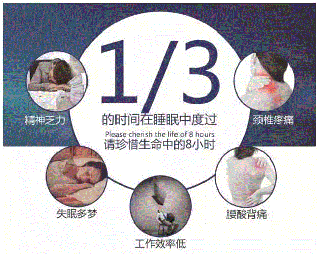 推荐:给家人一个安稳的睡眠,枕头,乳胶枕,工艺,乳胶,特拉雷,颈椎,邓禄普,透气性,枕芯,枕套