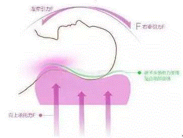 推荐:给家人一个安稳的睡眠,枕头,乳胶枕,工艺,乳胶,特拉雷,颈椎,邓禄普,透气性,枕芯,枕套