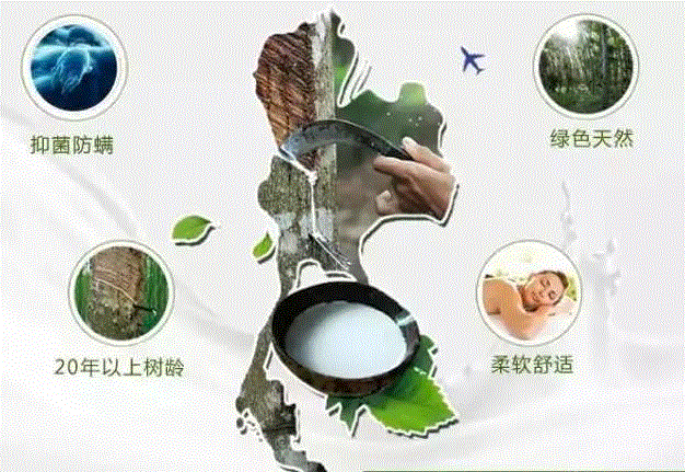 推荐:给家人一个安稳的睡眠,枕头,乳胶枕,工艺,乳胶,特拉雷,颈椎,邓禄普,透气性,枕芯,枕套