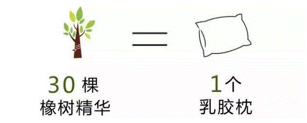 推荐:给家人一个安稳的睡眠,枕头,乳胶枕,工艺,乳胶,特拉雷,颈椎,邓禄普,透气性,枕芯,枕套