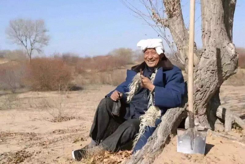 美国航天局一张照片,让全世界都跑来感谢中国:谢谢你们,拯救了世界!,一张照片,美国航天局,沙漠,毛乌素沙漠,黄沙,蚂蚁,绿色,阿拉善,背后,日本