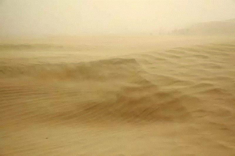 美国航天局一张照片,让全世界都跑来感谢中国:谢谢你们,拯救了世界!,一张照片,美国航天局,沙漠,毛乌素沙漠,黄沙,蚂蚁,绿色,阿拉善,背后,日本