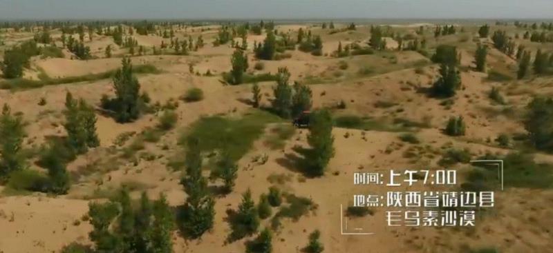 美国航天局一张照片,让全世界都跑来感谢中国:谢谢你们,拯救了世界!,一张照片,美国航天局,沙漠,毛乌素沙漠,黄沙,蚂蚁,绿色,阿拉善,背后,日本