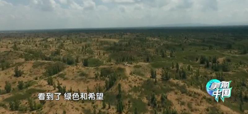 美国航天局一张照片,让全世界都跑来感谢中国:谢谢你们,拯救了世界!,一张照片,美国航天局,沙漠,毛乌素沙漠,黄沙,蚂蚁,绿色,阿拉善,背后,日本