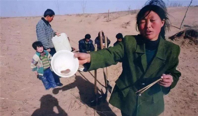 美国航天局一张照片,让全世界都跑来感谢中国:谢谢你们,拯救了世界!,一张照片,美国航天局,沙漠,毛乌素沙漠,黄沙,蚂蚁,绿色,阿拉善,背后,日本