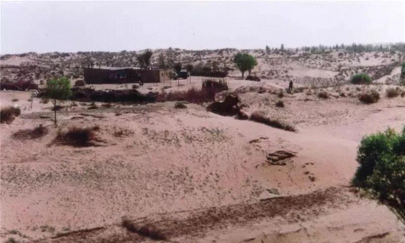 美国航天局一张照片,让全世界都跑来感谢中国:谢谢你们,拯救了世界!,一张照片,美国航天局,沙漠,毛乌素沙漠,黄沙,蚂蚁,绿色,阿拉善,背后,日本