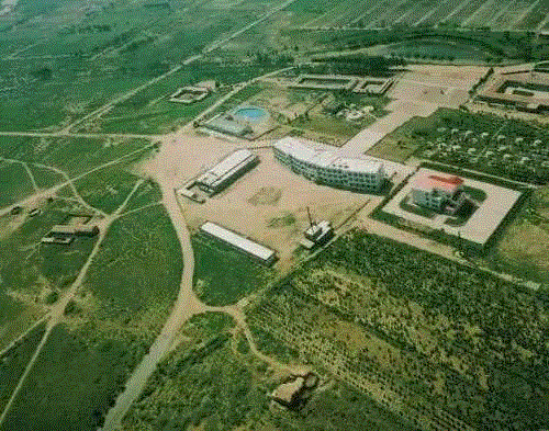 美国航天局一张照片,让全世界都跑来感谢中国:谢谢你们,拯救了世界!,一张照片,美国航天局,沙漠,毛乌素沙漠,黄沙,蚂蚁,绿色,阿拉善,背后,日本