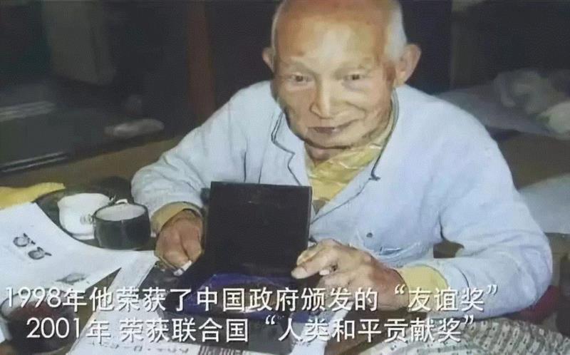 美国航天局一张照片,让全世界都跑来感谢中国:谢谢你们,拯救了世界!,一张照片,美国航天局,沙漠,毛乌素沙漠,黄沙,蚂蚁,绿色,阿拉善,背后,日本