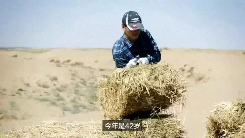 美国航天局一张照片,让全世界都跑来感谢中国:谢谢你们,拯救了世界!,一张照片,美国航天局,沙漠,毛乌素沙漠,黄沙,蚂蚁,绿色,阿拉善,背后,日本