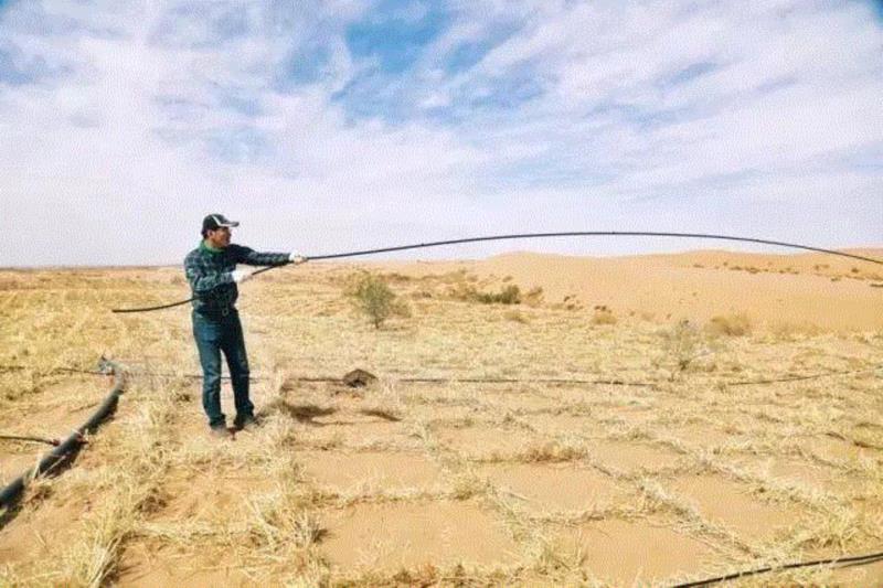 美国航天局一张照片,让全世界都跑来感谢中国:谢谢你们,拯救了世界!,一张照片,美国航天局,沙漠,毛乌素沙漠,黄沙,蚂蚁,绿色,阿拉善,背后,日本