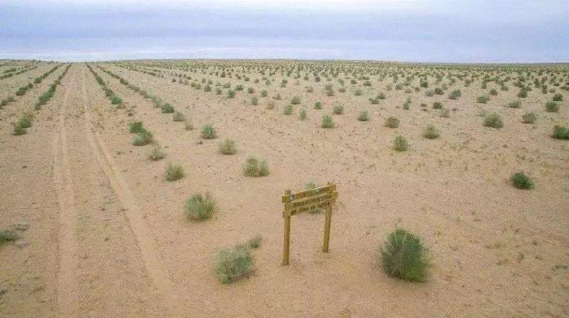 美国航天局一张照片,让全世界都跑来感谢中国:谢谢你们,拯救了世界!,一张照片,美国航天局,沙漠,毛乌素沙漠,黄沙,蚂蚁,绿色,阿拉善,背后,日本