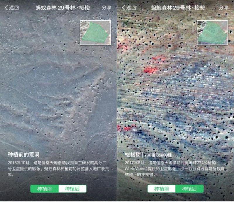 卫星图片里的蚂蚁森林,美国航天局一张照片,让全世界都跑来感谢中国:谢谢你们,拯救了世界!,一张照片,美国航天局,沙漠,毛乌素沙漠,黄沙,蚂蚁,绿色,阿拉善,背后,日本