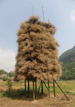 《秸杆塔》 吕品晶,孙振华 | 相信设计的未来,孙振华,乡村,博物馆,案例,思路,伦理,弱势群体,田间,经济,地头