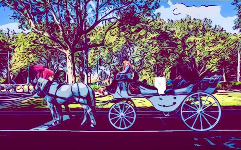 这个华人扎堆儿的地方，有着你不知道的文艺范儿,华人,扎堆儿,文艺范儿,墨尔本,建筑,澳大利亚,维多利亚,嘉德,英国,古董