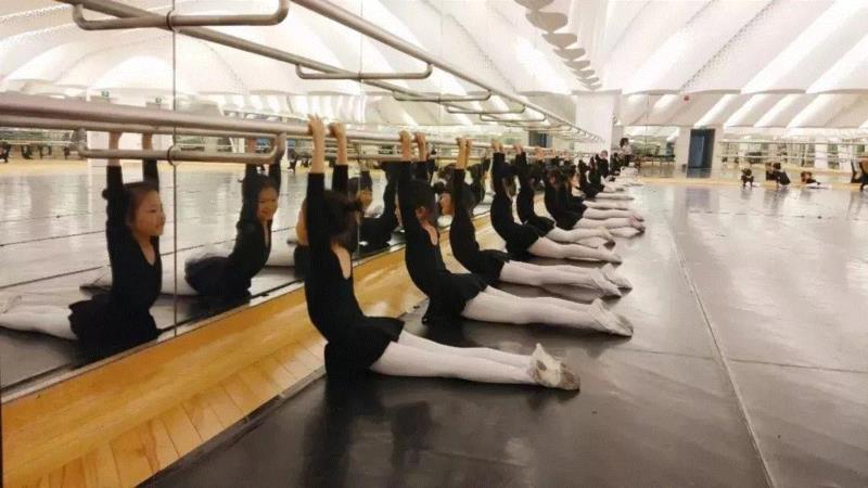 课堂攻略丨立起足尖，放飞芭蕾梦想,足尖,课堂,攻略,芭蕾,广州大剧院,少儿,芭蕾舞团,头发,团员,芭蕾舞