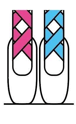 课堂攻略丨立起足尖，放飞芭蕾梦想,足尖,课堂,攻略,芭蕾,广州大剧院,少儿,芭蕾舞团,头发,团员,芭蕾舞